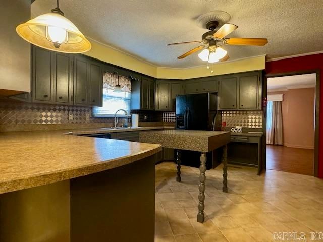 1605 Martin Drive, Pocahontas, AR 72455