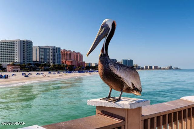 2947 S Atlantic Ave Apt 602, Daytona Beach Shores, FL 32118