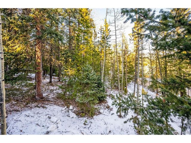 2334 Sinton Rd, Evergreen, CO 80439