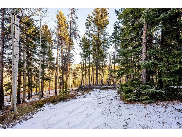 2334 Sinton Rd, Evergreen, CO 80439