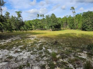 238 CEMETERY ROAD, Fort Mc Coy, FL 32134