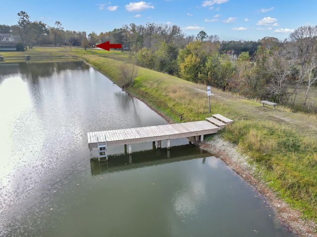 23941 S Lake View Road, Montgomery, TX 77316