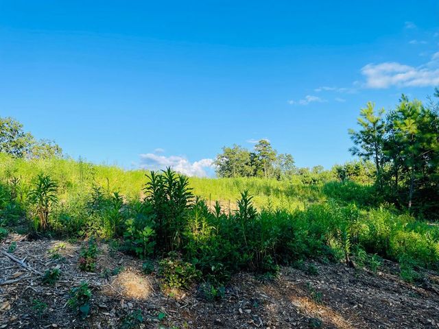 655 Lookout Valley Trail, Talking Rock, GA 30175