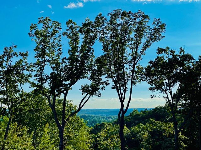 655 Lookout Valley Trail, Talking Rock, GA 30175