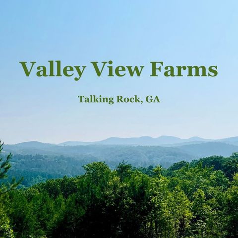 655 Lookout Valley Trail, Talking Rock, GA 30175