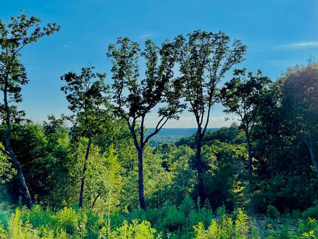 655 Lookout Valley Trail, Talking Rock, GA 30175