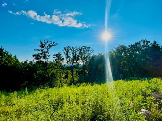 655 Lookout Valley Trail, Talking Rock, GA 30175