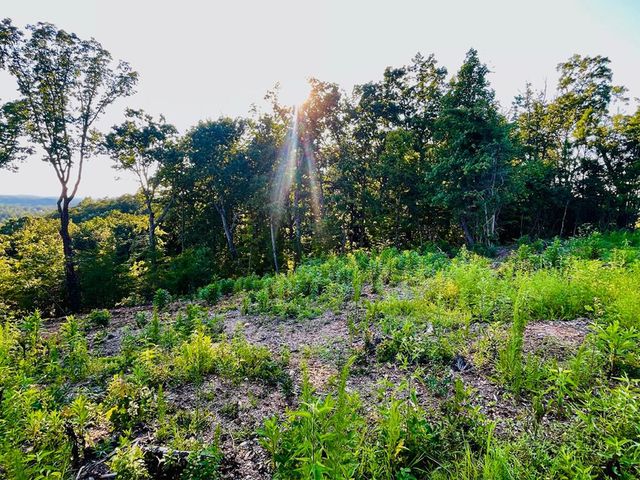 655 Lookout Valley Trail, Talking Rock, GA 30175