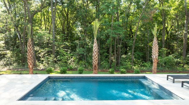 473 Yellow House Place, Charleston, SC 29492