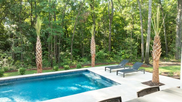 473 Yellow House Place, Charleston, SC 29492