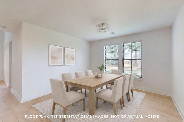 21138 Bella Coral Drive, Cypress, TX 77433