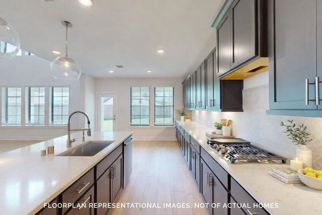 21138 Bella Coral Drive, Cypress, TX 77433