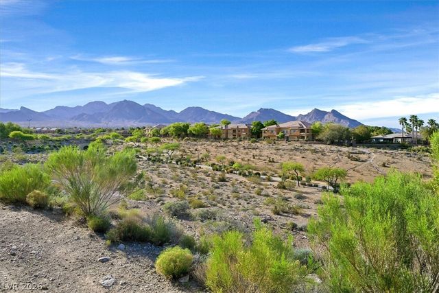 10234 Birch Bluff Lane, Las Vegas, NV 89145