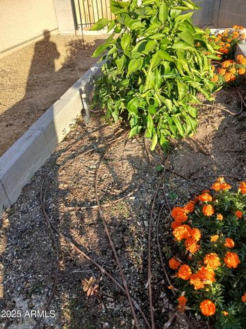 8906 N 102ND Lane, Peoria, AZ 85345