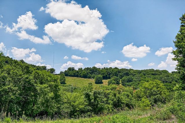 99 Judkins Ln, Hickman, TN 38567