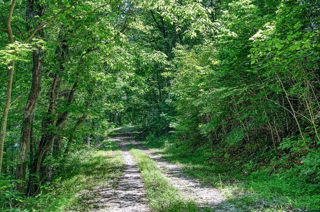 99 Judkins Ln, Hickman, TN 38567