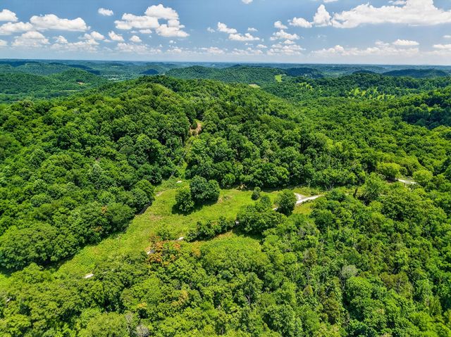 99 Judkins Ln, Hickman, TN 38567