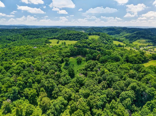 99 Judkins Ln, Hickman, TN 38567