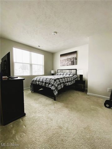 115 Cassese Court, Eastlake, OH 44095