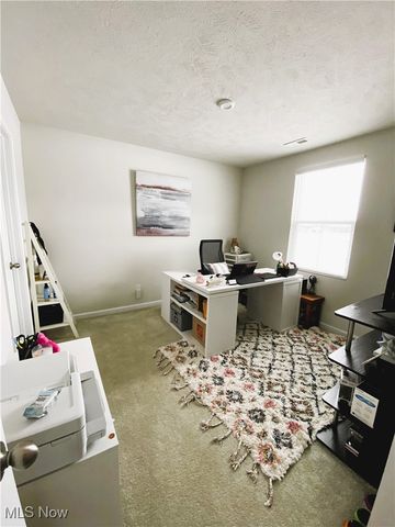 115 Cassese Court, Eastlake, OH 44095