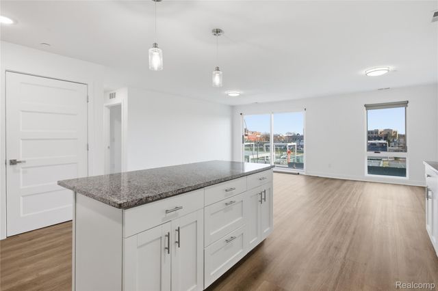 166 Oak Street 309, Wyandotte, MI 48192
