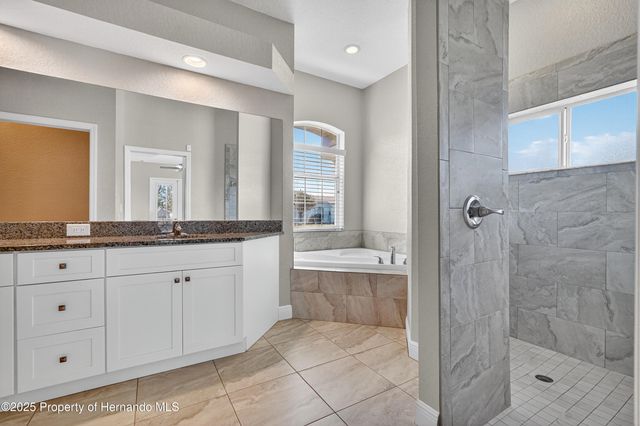 10271 Palmgren Lane, Spring Hill, FL 34608