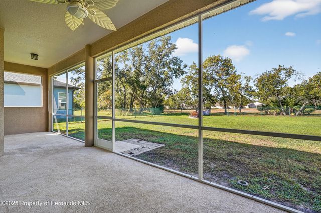 10271 Palmgren Lane, Spring Hill, FL 34608