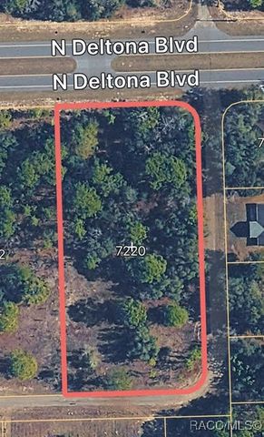 7220 N Deltona Boulevard, Citrus Springs, FL 34434