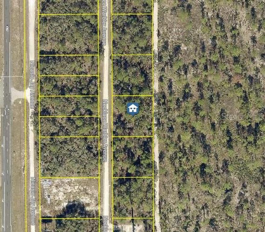 LOT 8 NECKLACE WARBLER AVENUE, Brooksville, FL 34614