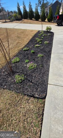 40 Hollyhock Lane, Covington, GA 30014