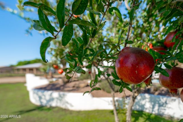 24313 W GROVE Street, Buckeye, AZ 85326