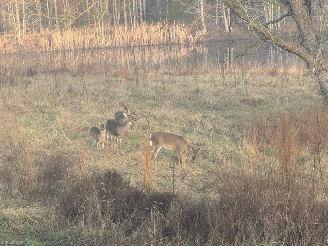 2385 Clacie Lane, Liberty, NC 27298