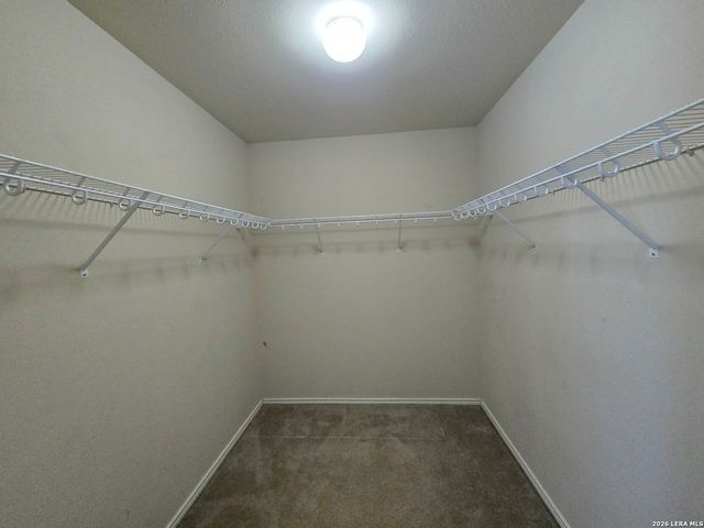 125 Phantom, Cibolo, TX 78108