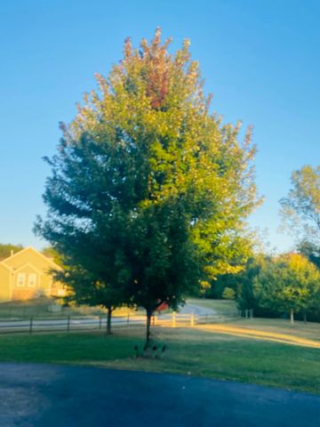 9530 Ward Road, Plain City, OH 43064