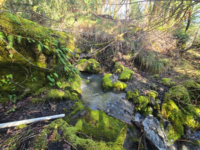 3830 Thomas Road, Miranda, CA 95553