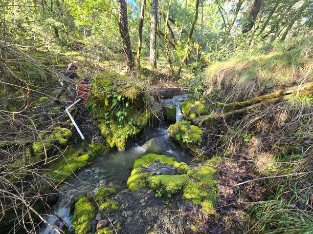 3830 Thomas Road, Miranda, CA 95553