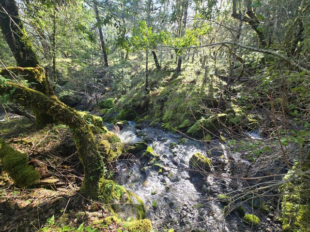 3830 Thomas Road, Miranda, CA 95553