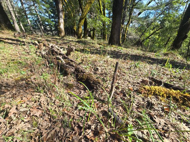 3830 Thomas Road, Miranda, CA 95553