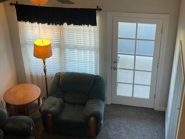 180 Grace Chapel, 322, Blue Eye, MO 65611