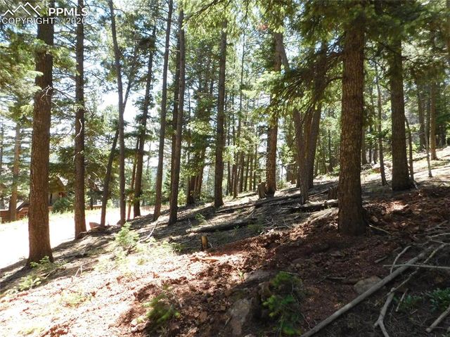 Lot 11 Woodmoor West Drive, Larkspur, CO 80118