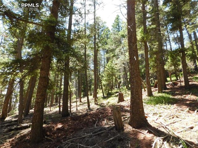Lot 11 Woodmoor West Drive, Larkspur, CO 80118