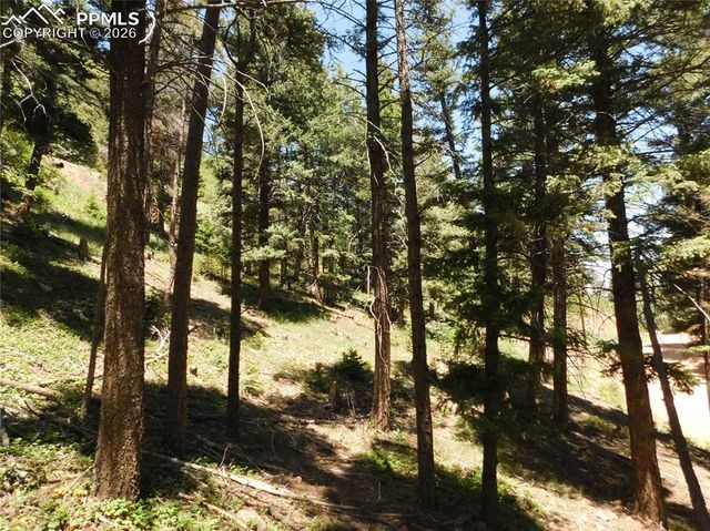 Lot 11 Woodmoor West Drive, Larkspur, CO 80118