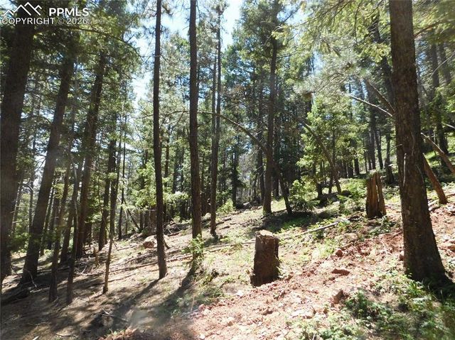 Lot 11 Woodmoor West Drive, Larkspur, CO 80118