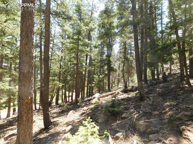Lot 11 Woodmoor West Drive, Larkspur, CO 80118