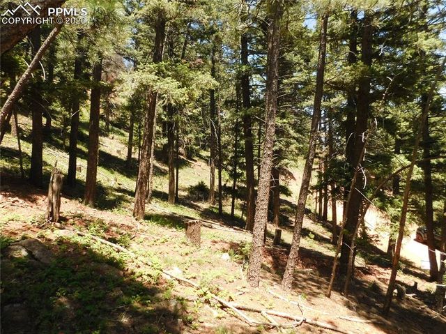 Lot 11 Woodmoor West Drive, Larkspur, CO 80118