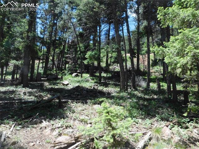 Lot 11 Woodmoor West Drive, Larkspur, CO 80118