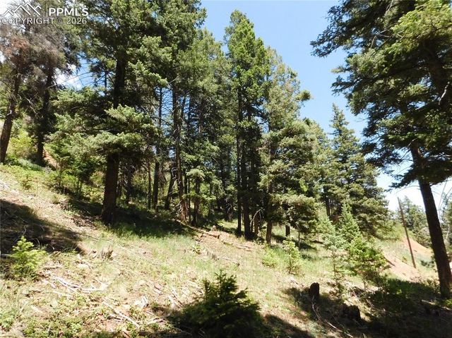 Lot 11 Woodmoor West Drive, Larkspur, CO 80118
