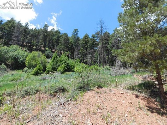 Lot 11 Woodmoor West Drive, Larkspur, CO 80118