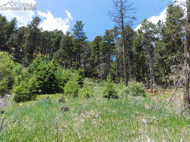 Lot 11 Woodmoor West Drive, Larkspur, CO 80118