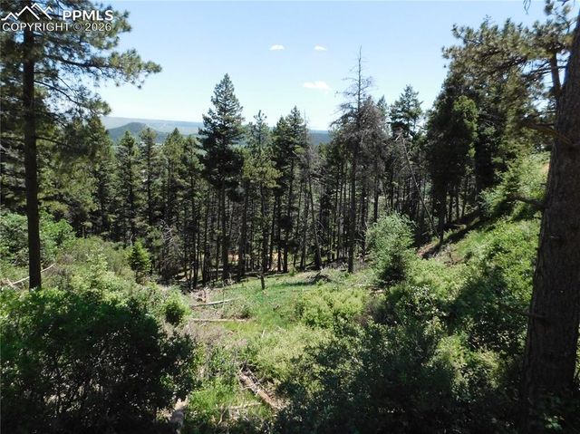 Lot 11 Woodmoor West Drive, Larkspur, CO 80118